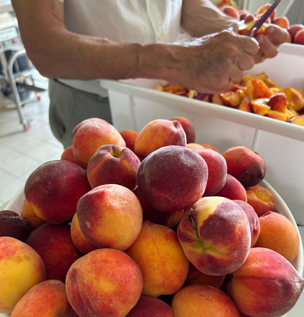 Composte di frutta biologiche e artigianali di Agrestia 4 Taglio pesche biologiche